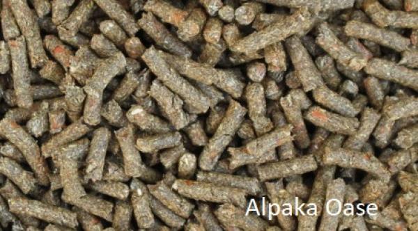 Kräuterheu - Karottenpellets